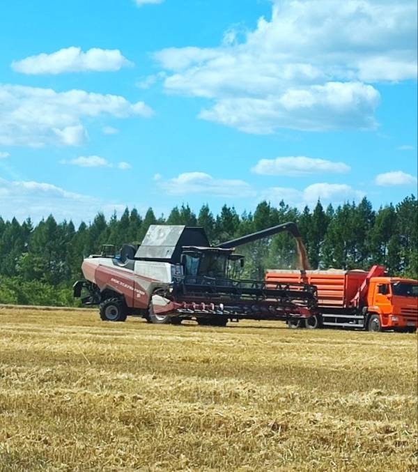 Выгрузка зерновых культур в грузовой АМ